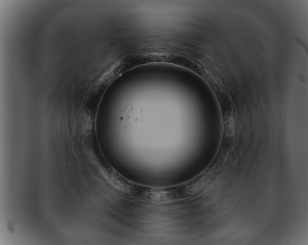X0000093250472200709261723