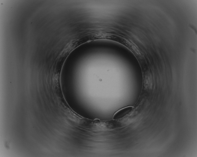 X0000093250473200709261723