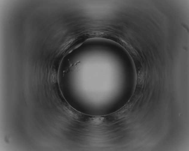 X0000093250474200709261723