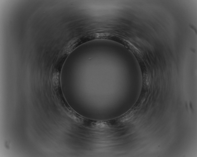 X0000093250475200709261723