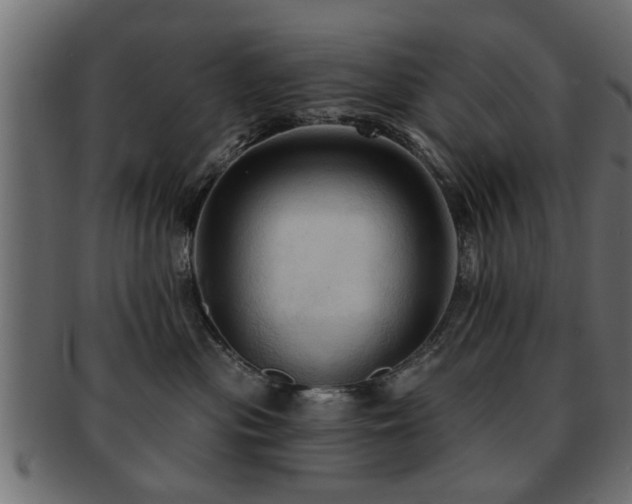 X0000093250477200709261723