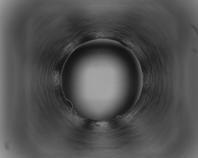 X0000093250478200709261723