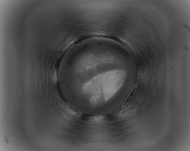 X0000093250479200709261723