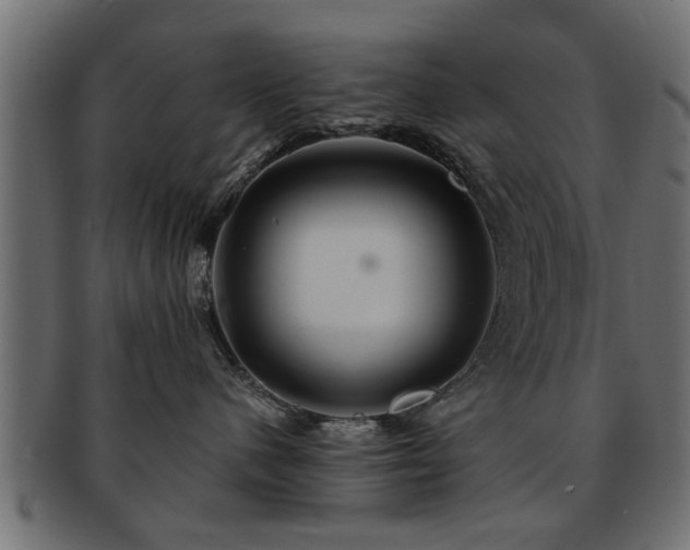 X0000093250480200709261723