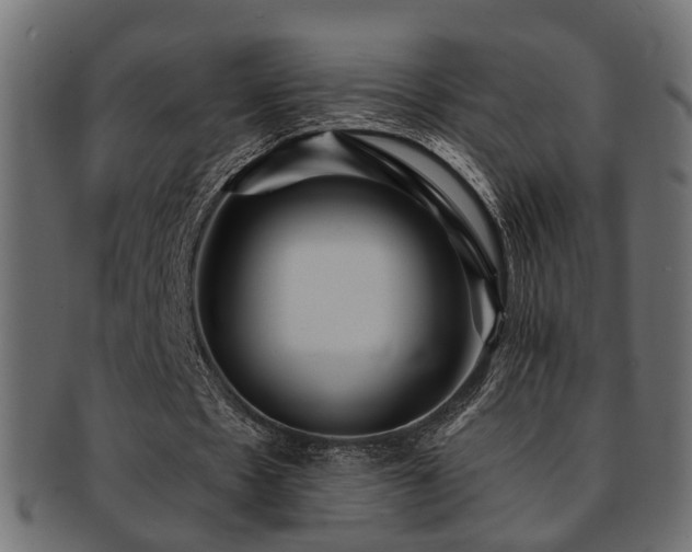 X0000093250481200709261722
