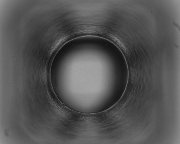 X0000093250482200709261722