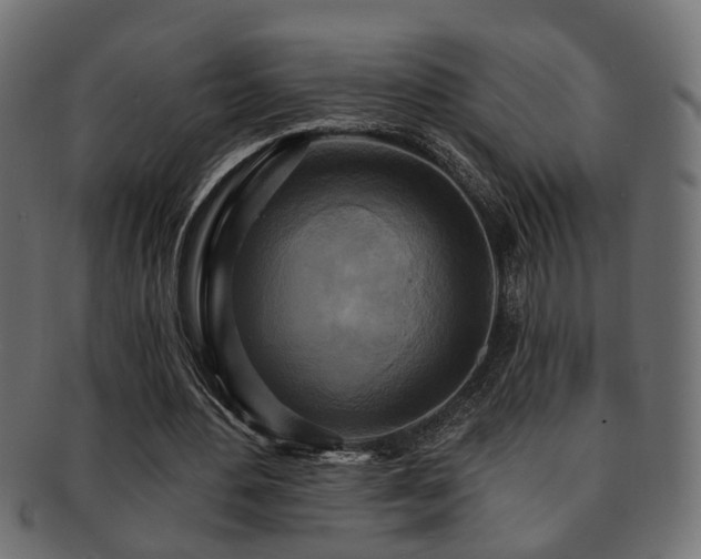 X0000093250484200709261722