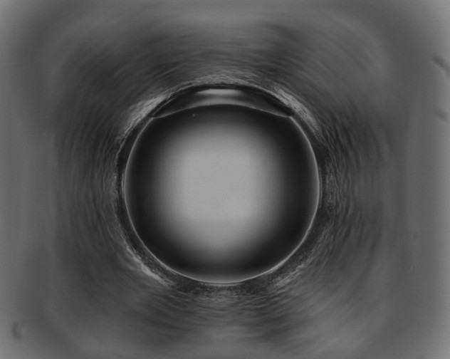 X0000093250485200709261722