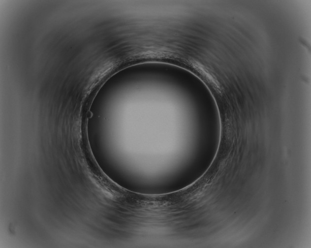 X0000093250486200709261722
