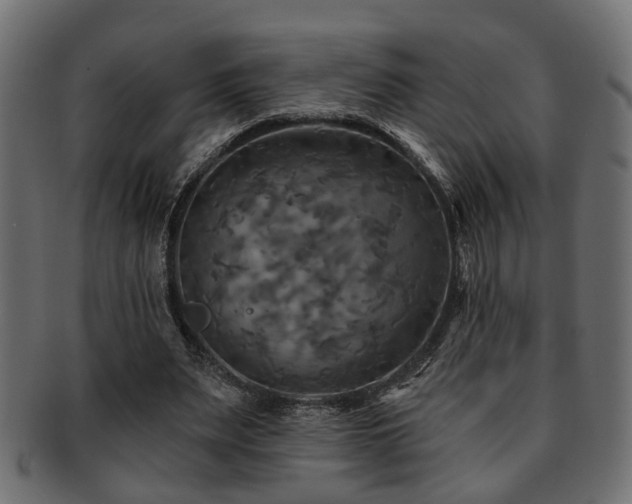 X0000093250487200709261722