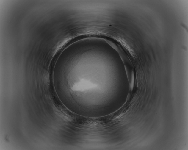X0000093250488200709261722