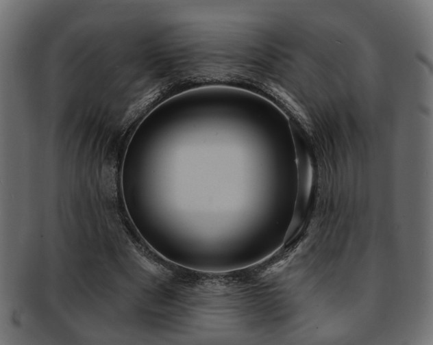X0000093250489200709261722