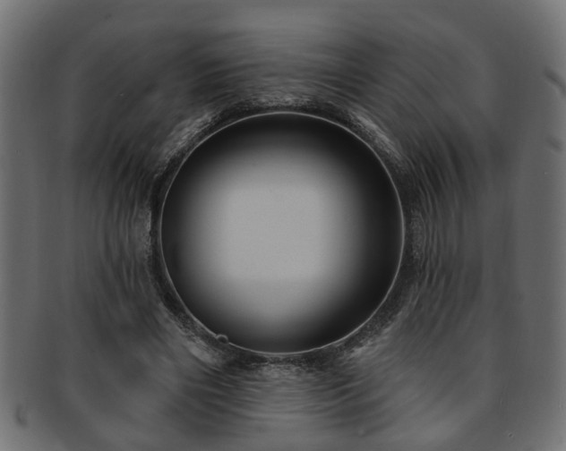 X0000093250490200709261722