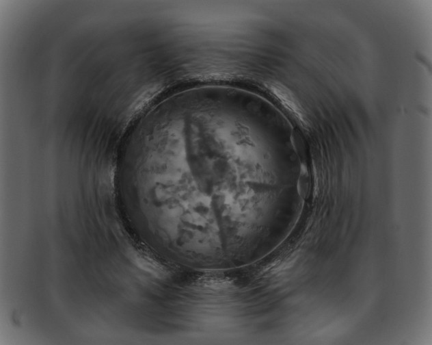 X0000093250491200709261722