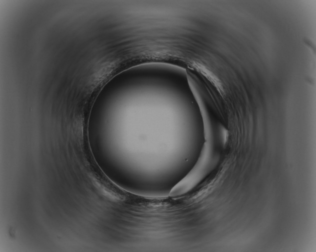 X0000093250493200709261722