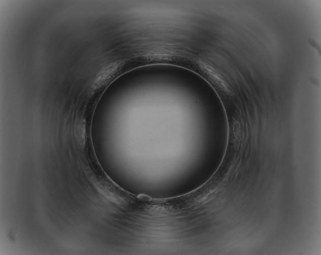 X0000093250494200709261722
