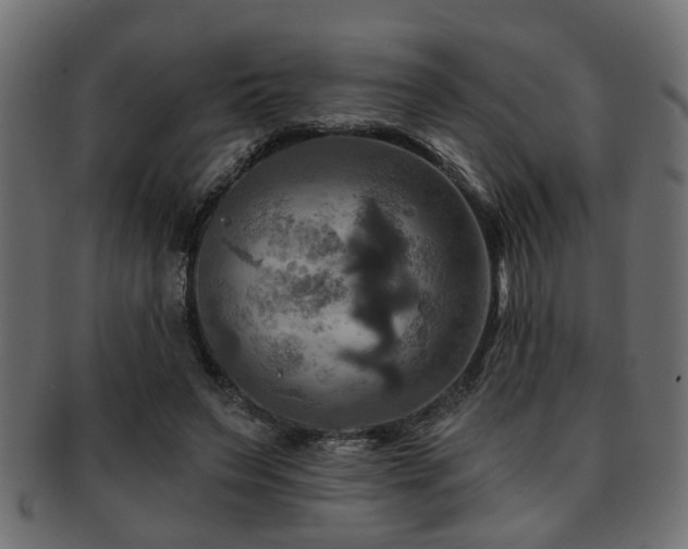 X0000093250495200709261722