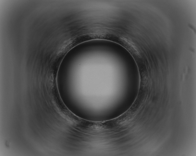 X0000093250498200709261722