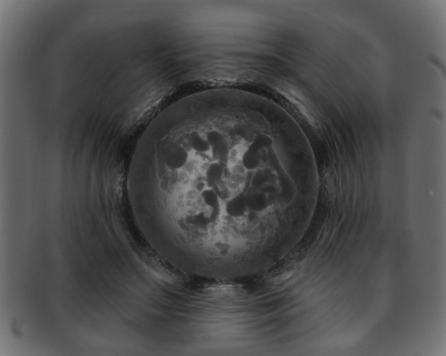 X0000093250499200709261722