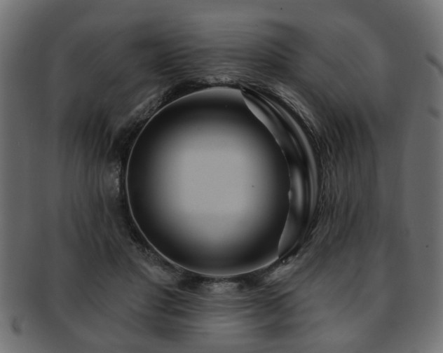 X0000093250501200709261722