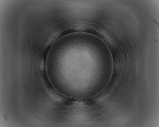 X0000093250502200709261722