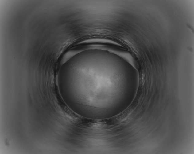 X0000093250504200709261722