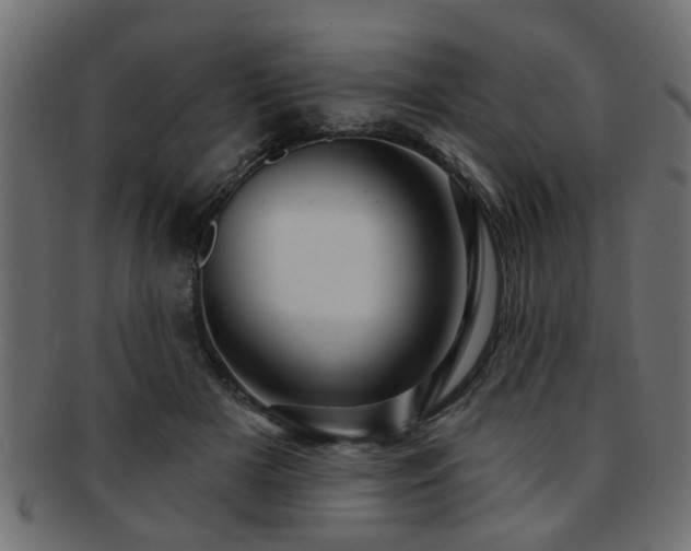 X0000093250505200709261722