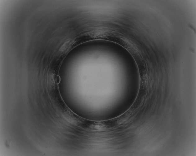 X0000093250506200709261722