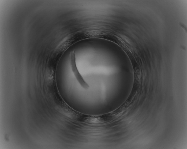 X0000093250507200709261722