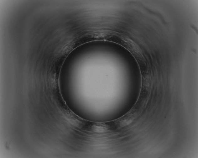 X0000093250510200709261722