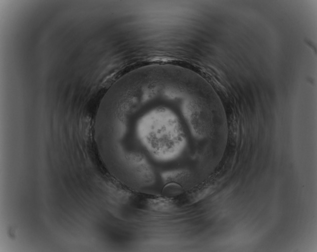 X0000093250511200709261722