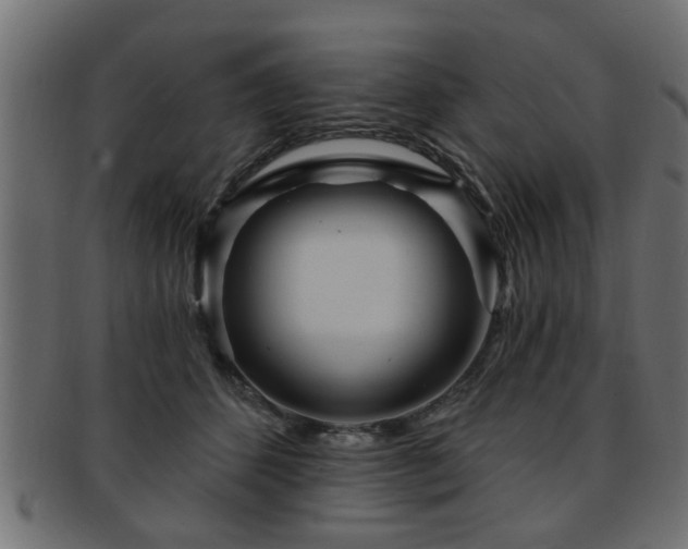 X0000093250512200709261722