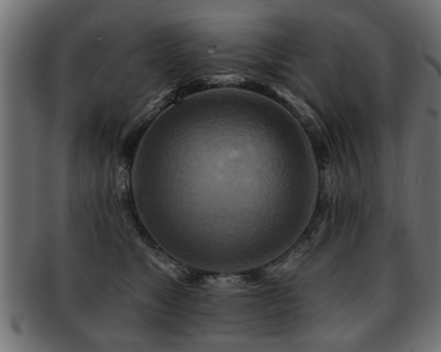 X0000093250517200709261722