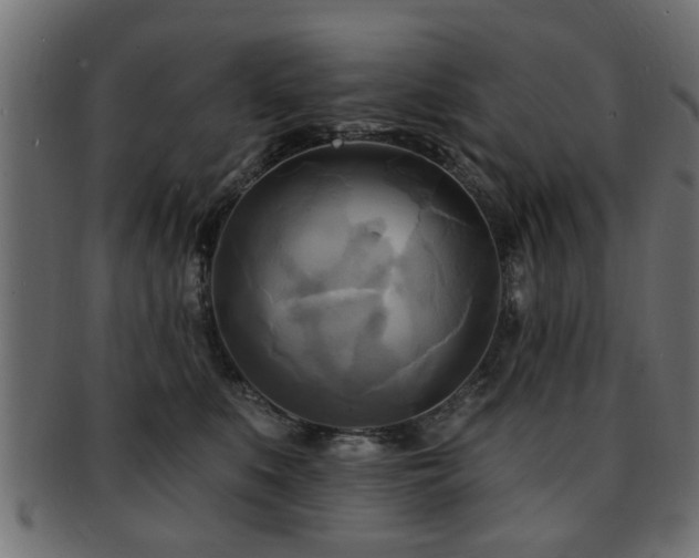 X0000093250519200709261722