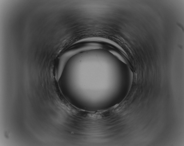 X0000093250520200709261722