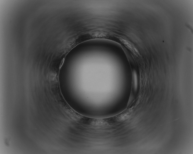 X0000093250521200709261722