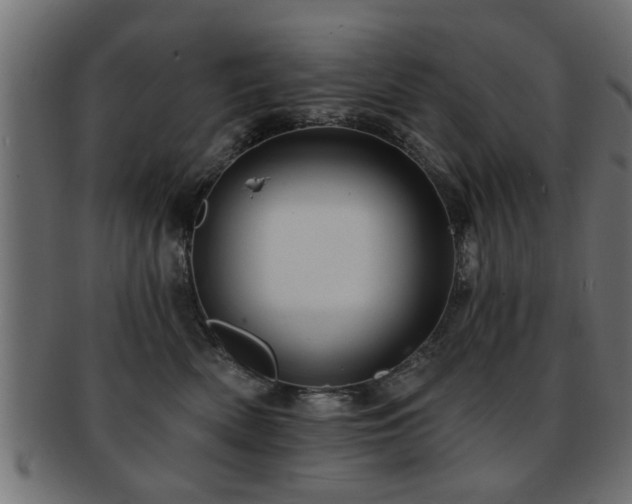 X0000093250522200709261722