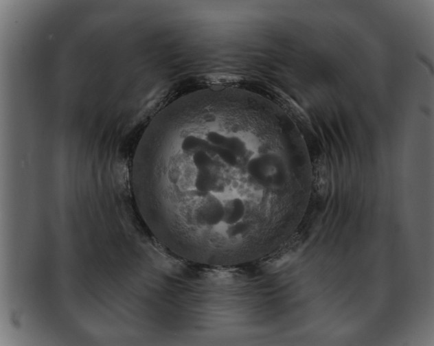 X0000093250523200709261722