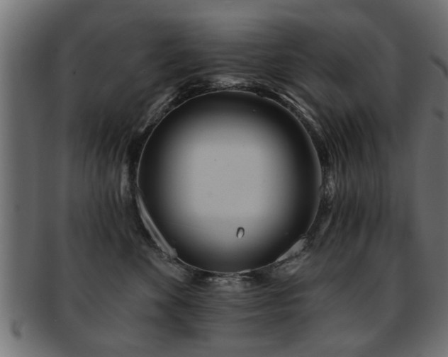 X0000093250524200709261722