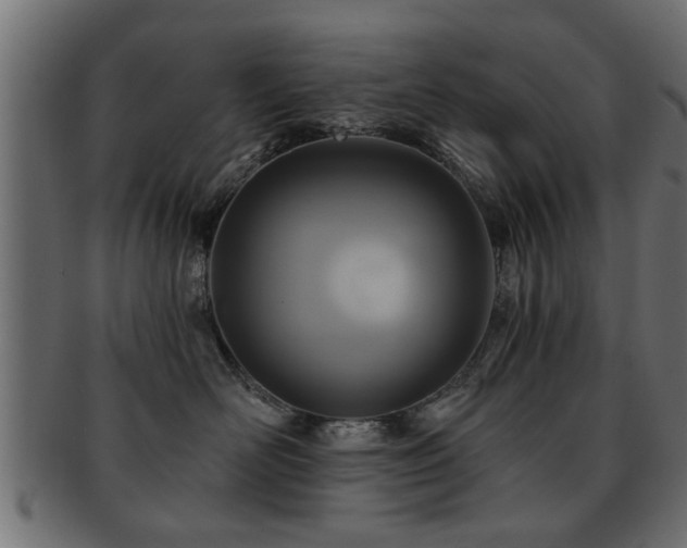 X0000093250526200709261722