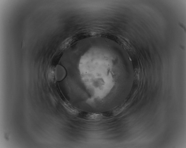X0000093250527200709261722