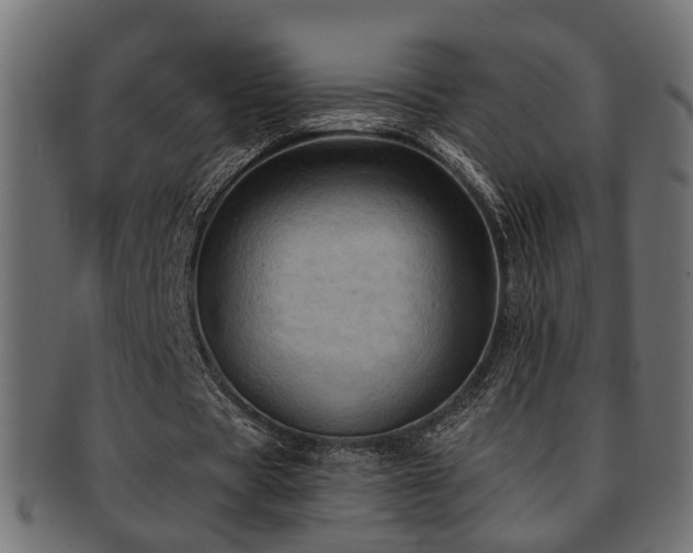 X0000093250529200709261721