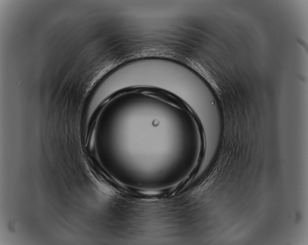 X0000093250530200709261721