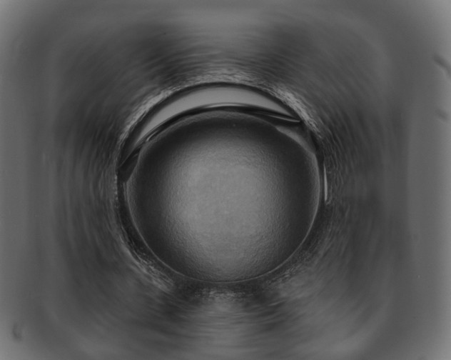 X0000093250531200709261721