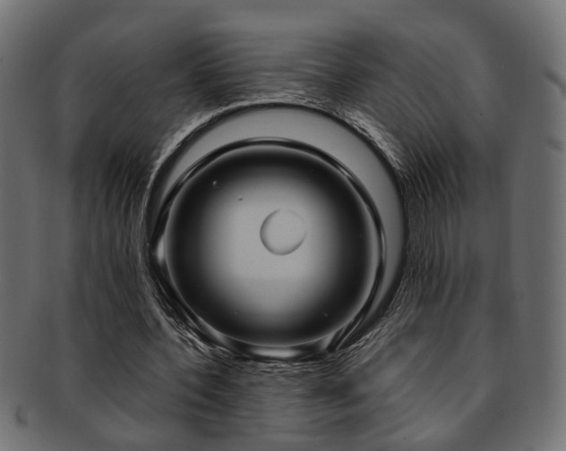 X0000093250532200709261721