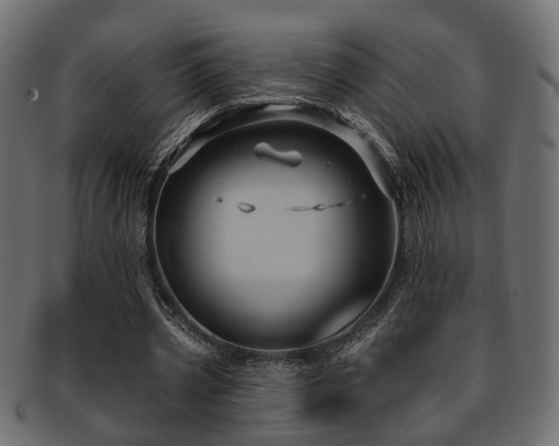 X0000093250533200709261721
