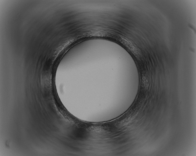 X0000093250534200709261721