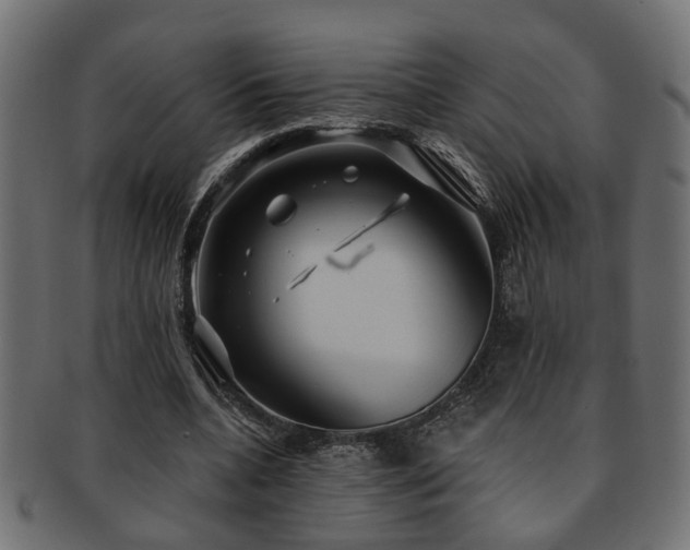 X0000093250536200709261721