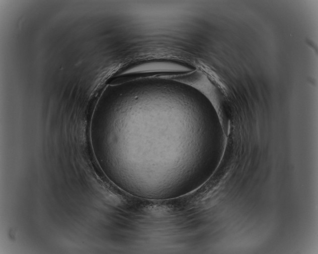 X0000093250537200709261721