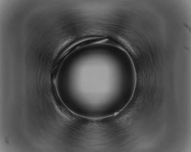 X0000093250538200709261721